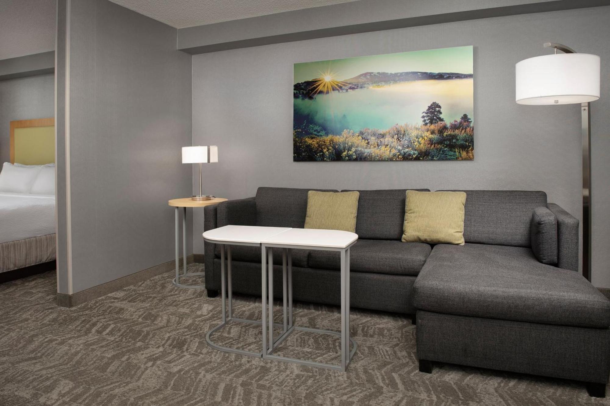 Springhill Suites By Marriott Boise Parkcenter Экстерьер фото